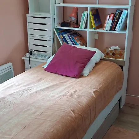 Les Lavandins,chambre Climatise, A 300 Tram L5, Parking Et Wifi Gratuit *